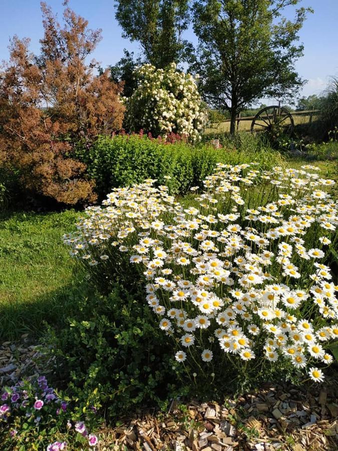 Les Bienfaits D'Harmonium Bed & Breakfast La Chapelle-Gaudin Exterior photo